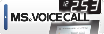 MS VOICE CALL